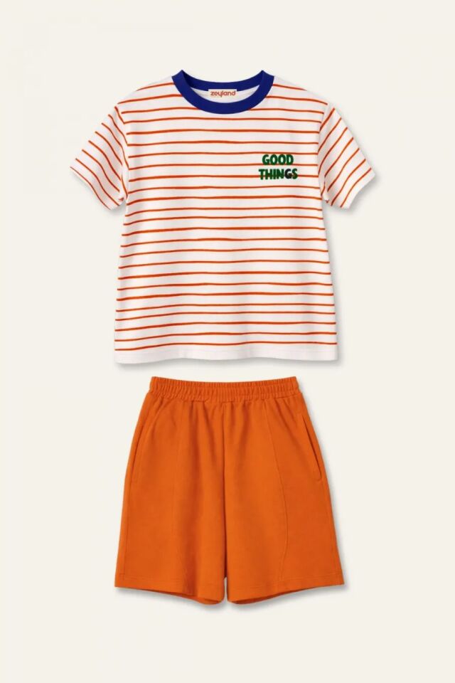 Erkek Çocuk Çizgili T-shirt ve Şort Takım - Turuncu